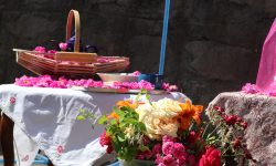 برگزاری پنجمین جشن گلاب گیری در شهر خوی