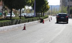 استمرار رنگ آمیزی جداول سطح شهر خوی