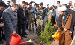 آغاز کاشت ۳۰ میلیون اصله نهال در آذربایجان غربی