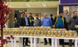 پذیرایی یلدایی از مسافران شهر دارالقرار شمس خوی در پایانه مسافربری بین المللی شهید درستی