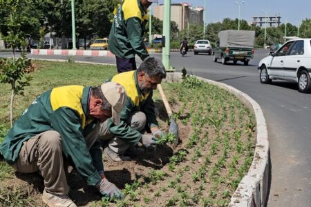 کاشت بیش از ۱۰۰ هزار بوته گل فصلی و دائمی در سطح شهر خوی