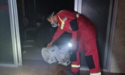 آتش‌سوزی در بخش MRI بیمارستان امام خمینی (ره) بدون تلفات جانی مهار شد