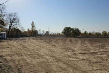 خوی در مسیر خودکفایی تولید گیاهان فضای سبز شهری