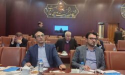 دوره تخصصی مدیریت و برنامه‌ریزی استراتژیک فضای سبز برگزار شد