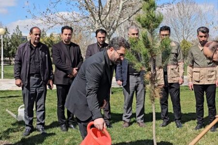 پویش ملی درختکاری سرو ایران با غرس نخستین نهال‌ ها آغاز شد 