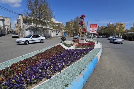 تداوم کاشت گل‌های فصلی در خوی