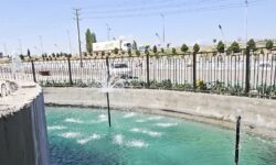نسل جدید آبیاری فضای سبز با آب خام در خوی آغاز شد